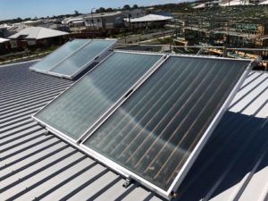 Solar hot water panels mounted on a metal roof in Brisbane, harnessing sunlight to deliver energy-efficient hot water.